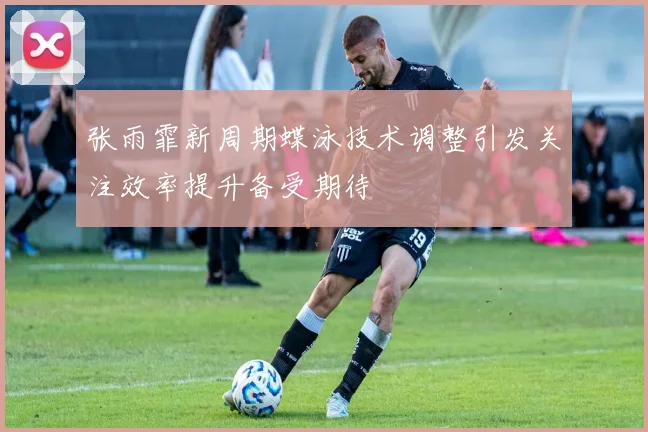 张雨霏新周期蝶泳技术调整引发关注效率提升备受期待