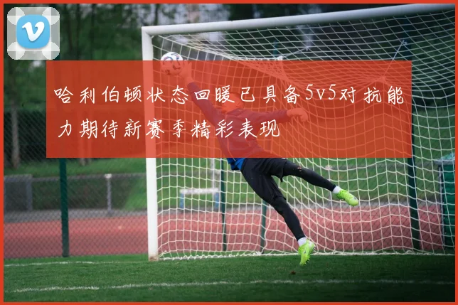 哈利伯顿状态回暖已具备5v5对抗能力期待新赛季精彩表现