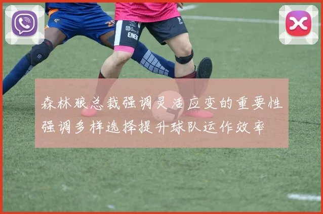 森林狼总裁强调灵活应变的重要性强调多样选择提升球队运作效率