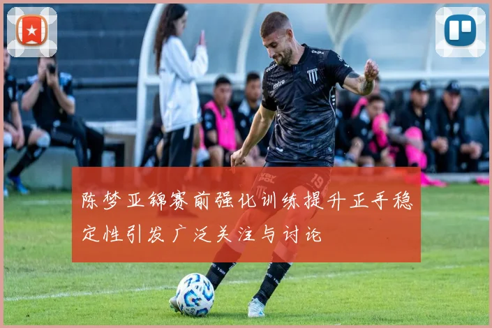 陈梦亚锦赛前强化训练提升正手稳定性引发广泛关注与讨论
